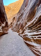 Carved sandstone in Little Wild Horse