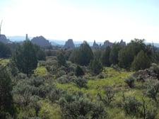 View of the brush