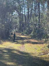 Uninteresting trail